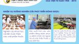 Lich su hinh thanh Vien_Page_28