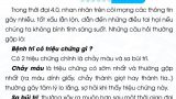 1_CÁT KÊ YÊN DỤNG NGƯU ĐAO_reNew-01-02-small