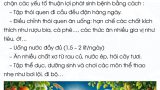 1_CÁT KÊ YÊN DỤNG NGƯU ĐAO_reNew-01-05-small