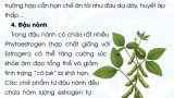 BÀI VIẾT TUẦN 8-PHÒNG NGỪA VIÊM NHIỄM PHỤ KHOA BẰNG CHẾ ĐỘ ĂN UỐNG KHOA HỌC-09-05-small
