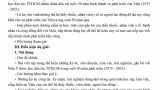 ThiViet50nam(2)