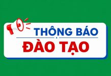 Viện Y Dược học Dân tộc thông báo về việc Tổ chức khóa đào tạo phổ cập kiến thức Đông y “Đông dược cơ bản” – Khóa 71.2026