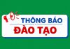 Viện Y Dược học Dân tộc thông báo chiêu sinh lớp Phổ cập kiến thức Đông y “Châm cứu sơ cấp” – Khóa 132.2026