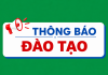 Viện Y Dược học Dân tộc thông báo về việc Tổ chức và chiêu sinh khoá học cập nhật kiến thức y khoa liên tục trong khám bệnh, chữa bệnh “Ứng dụng Nhĩ châm trong điều trị một số bệnh thường gặp”, lần 1 – năm 2026